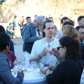 IMG 4170 B