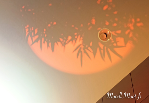 MoodleBeach