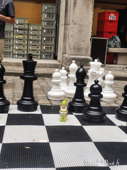 Echecs et Jean_2.jpg